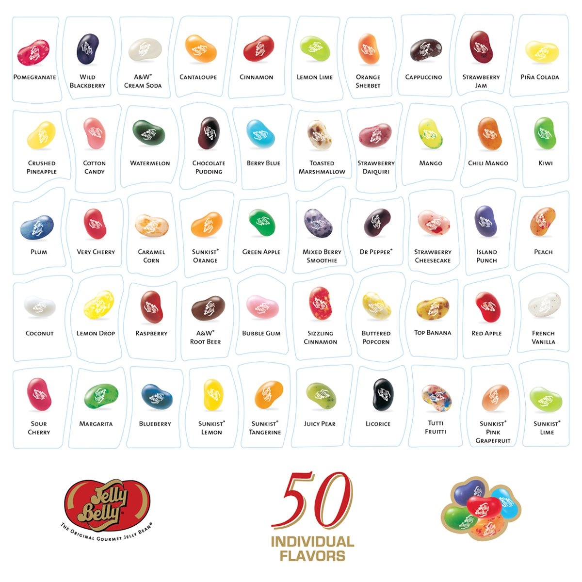 Jelly Belly Harry Potter Bertie Bott’s Every Flavor Beans – 1.2 oz – 24 ct(21 Ounce (Pack of 1))